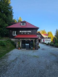 Pensjonat Magdalena - w cichym i spokojnym miejscu - zwierzęta akceptowane, bezpłatny parking - 9