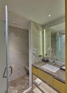 Grand Continent - A Luxury Collection, Udaipur - 6