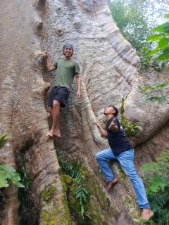 Tiga dara guest house jungle trekking - 1