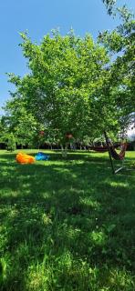 Cabana 23 - Avrig - 1