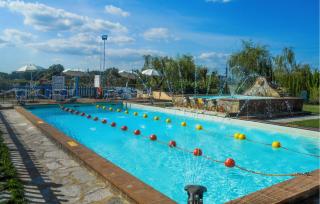 Cav D'italia E Falco Pescator - 1