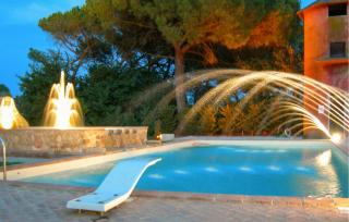 Cav D'italia E Falco Pescator - 1