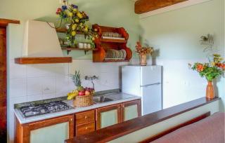 Cav D'italia E Falco Pescator - 6