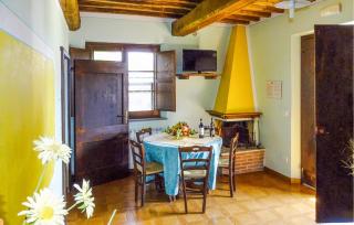 Cav D'italia E Falco Pescator - 8