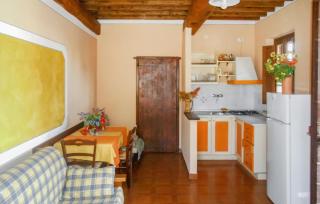 Cav D'italia E Falco Pescator - 4