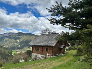 Preisöxlhütte in Sankt Veit - 6