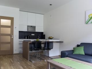 Apartmán Špindlerův Mlýn - Špindlerův Mlýn - 8