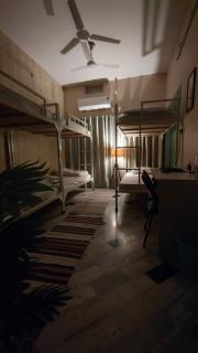 The Aqua Doors - 1