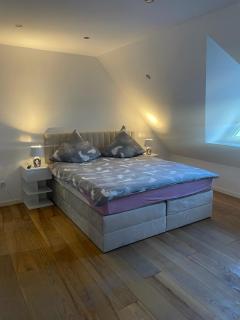 City Apartments Bobenheim-Roxheim- Modern und Luxurious - 8