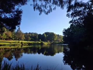 Silver Mist Resort, Haenertsburg - 5