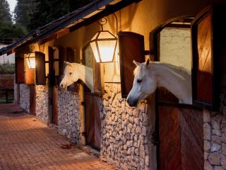 Silver Mist Resort, Haenertsburg - 3