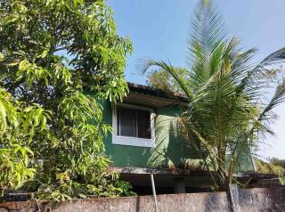 Noah's Yacht Farm - 3