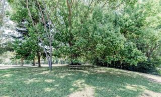 Fortuna Bushland Retreat 20 min from Noosaville - 4