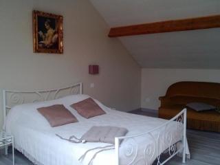 Grande maison de campagne avec jardin, terrasse, accueil chevaux, proche plage de Wissant, animaux OK - FR-1-376-39 - 6