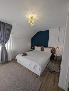 Cabana 23 - Avrig - 6