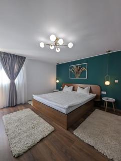 Cabana 23 - Avrig - 7