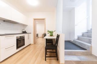 Apartment Staňkova - 5