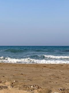 Апартаменты Студия - 4