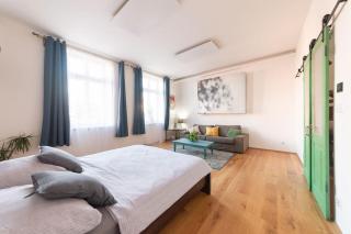 Apartment Spielberk - 8