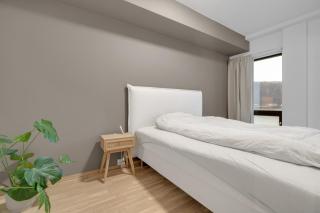 Moderne sentral toppleilighet med utsikt til fjellheisen og Tromsdalstind - 2