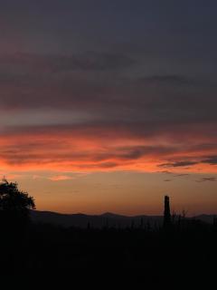 Small wooden paradise near the sea - 8