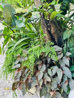 Cozy Skyview Villa in Lopez Quezon! - 2