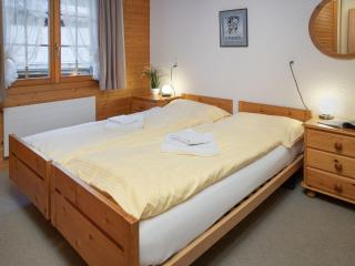 Apartment Chäs Gruebi Apt-S by Interhome - 2