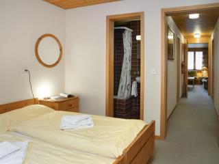 Apartment Chäs Gruebi Apt-S by Interhome - 1