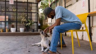 Ghotul Stays - Backpackers Hostel & Cozy Private Rooms in Guwahati - 9