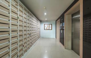 Z cape 1 one one - 3