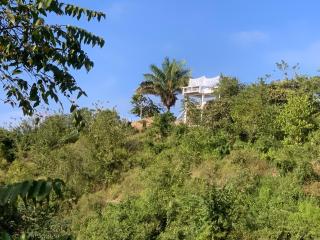 Mi casa entre arboles y nubes - 6