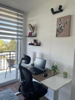 Departamento con Vista al Lago Villarrica - 9