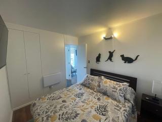 Departamento con Vista al Lago Villarrica - 8