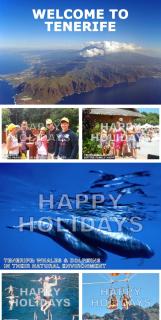 MNG-Apart Paradise Court - 6