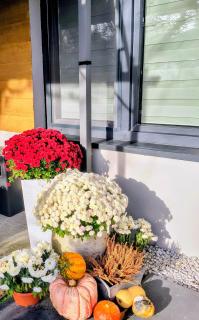 Noclegi, pokoje, kwatery "Nad Bzurą" - 8