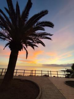 MNG-Apart Paradise Court - 5