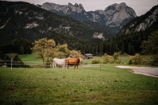 Ferienwohnung Niederbergerhof - 1
