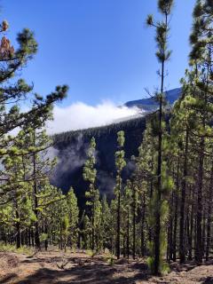 MNG-APART Studia Mareverde D-15 Costa Adeje - 9