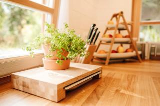 Modern Tiny House In Oldenburg Countryside - 5