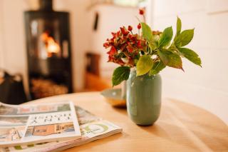 Modern Tiny House In Oldenburg Countryside - 4