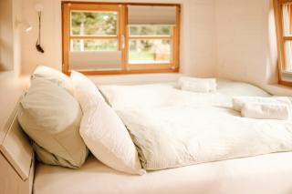 Modern Tiny House In Oldenburg Countryside - 1