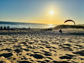 Little Oasis - Palm Room - 1