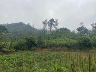 Nine arch echo Villa Ella - 8