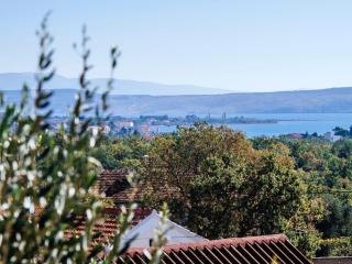 MY DALMATIA - Holiday home Jucinovi Dvori with private pool and sauna - 2