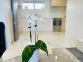 New Brighton Beachfront unit - 7