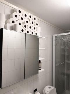 Norway Lights center of Bodo near Train station and Aeroport - 5