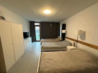 Exklusive Monteurunterkunft in Arzberg - 7