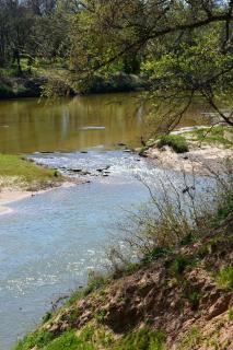 Spacious Cottage Rental for Group Getaway on Ranch near Dallas, Texas - 6