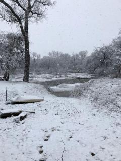 Spacious Cottage Rental for Group Getaway on Ranch near Dallas, Texas - 3