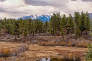 Mountain Bliss - 1